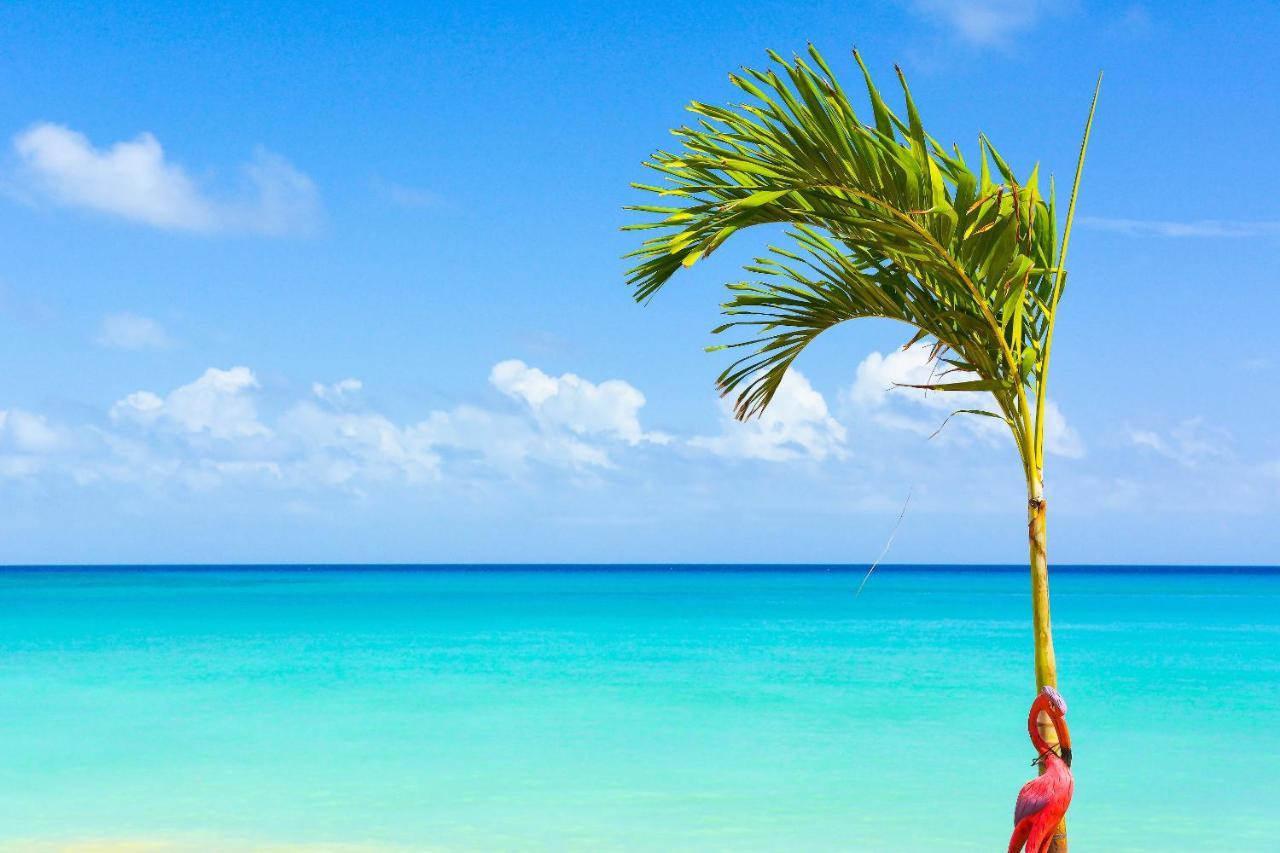 Kaz Kreol Beach Hotel Ocho Rios Exterior photo